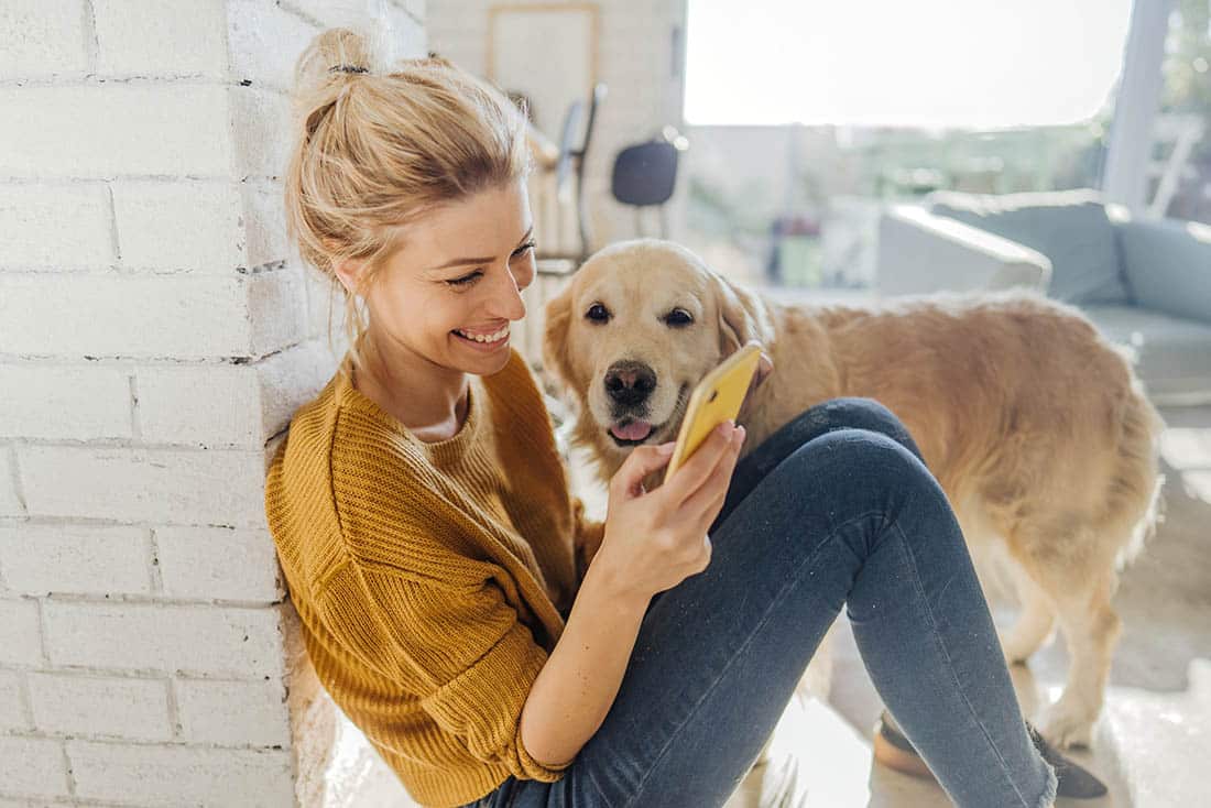 callout Option 1 1100x734 1